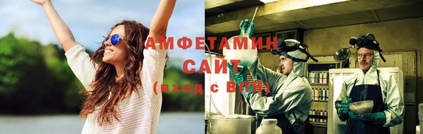 соль ск Волосово