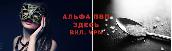 соль ск Волосово