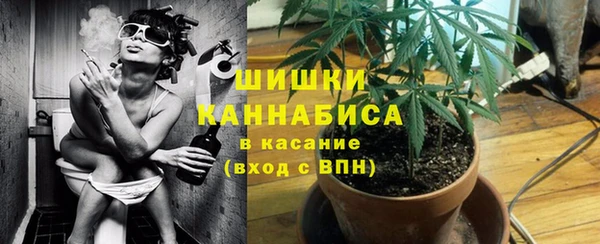 соль ск Волосово