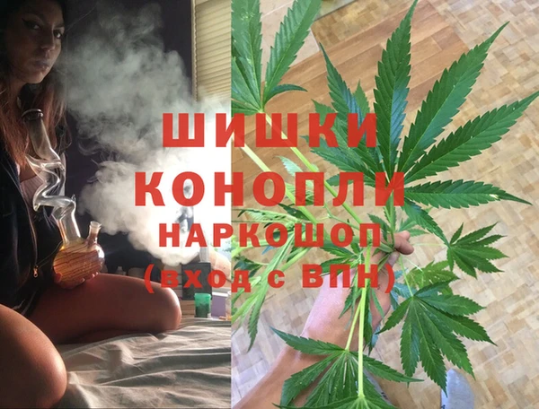 соль ск Волосово