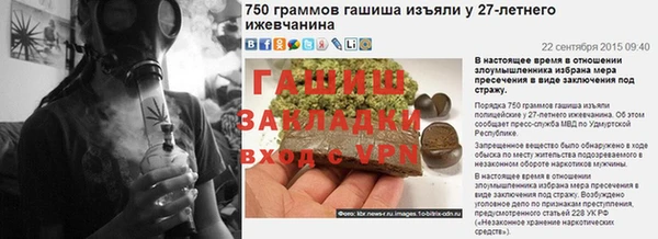 шишки Бородино